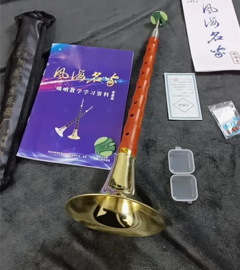 特价转让原价500多的初学专业演奏级唢呐D...