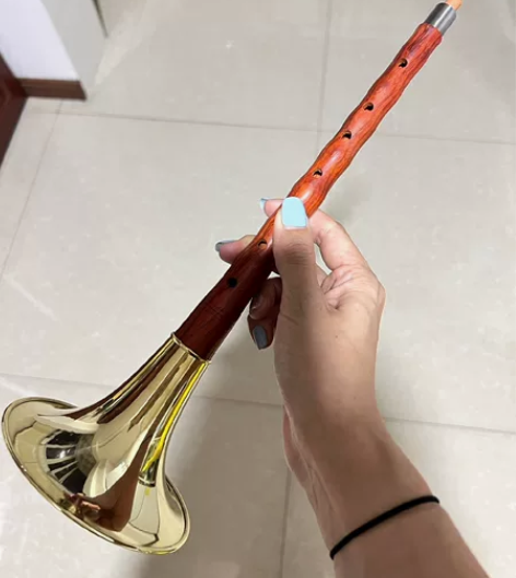 包邮初学专业演奏级唢呐D调门齐全红木乌木黑...