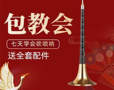 新艺演奏专业乌木黑檀木唢呐乐器全套d调D调...