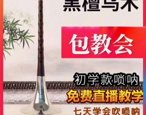 【99划算价】新艺演奏专业乌木黑檀木唢呐乐...