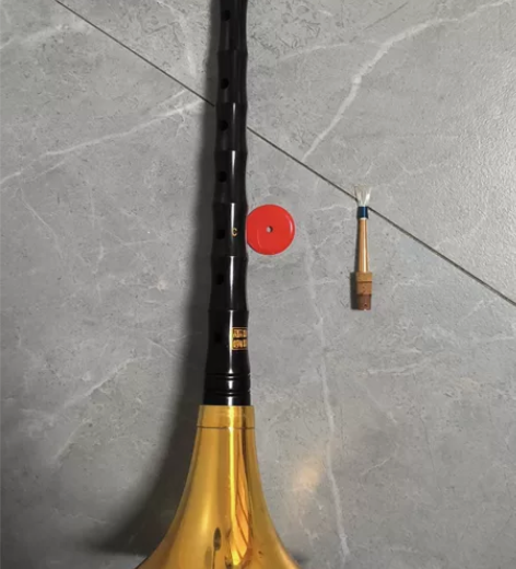 王家彪C调网红乌木唢呐乐器 全套初学者民族...