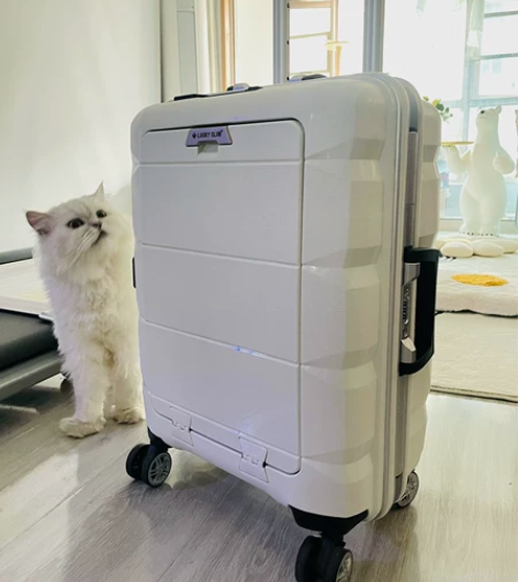 Lucky Club多功能行李箱20寸，只...