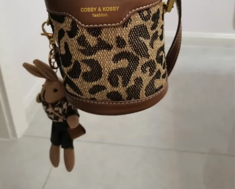 网红小包包女潮时尚高级感豹纹斜挎包小众手提...