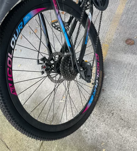 icolour自行车 旗舰店购入 就骑了一...