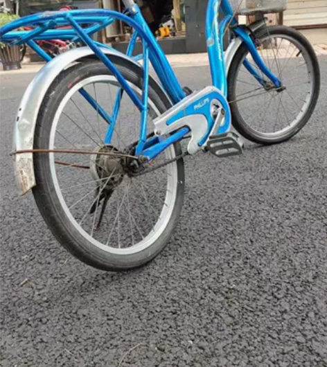 PHILLIPS/菲利普 20寸轻便自行...