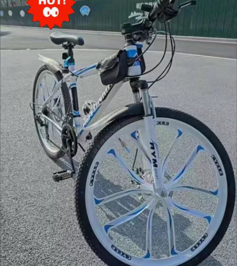 【白菜价处理】大学生成人山地车自行车男女式...