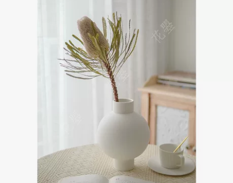 花曌 南非进口佛塔花班克木干花真花插花客厅...