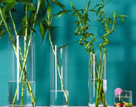 玻璃花瓶落地客厅桌面摆件插花干花北欧透明直...