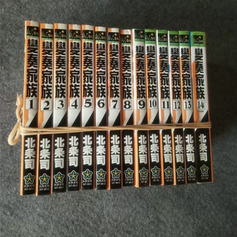 漫画 变奏家庭 非常家庭  全14册 ，实...