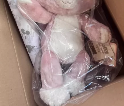 【正版贝尔】 很甜的一只贝尔，日本东京迪士...