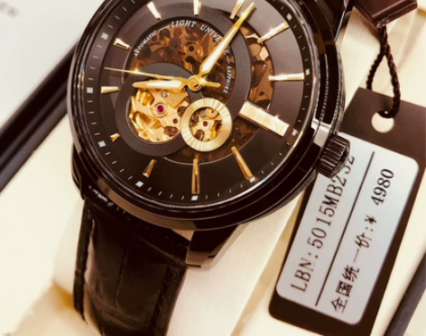 罗宾尼全自动机械手表2019潮名牌新款表腕...