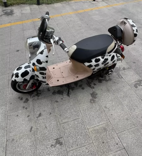 小奶牛电动车 48v20ah电池 续航2-...