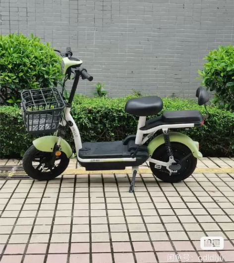 哈啰棒途电动车，放了几个月了，电池可能不行...