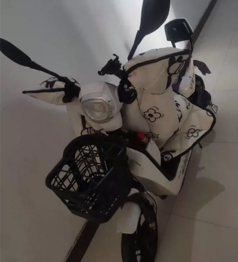 电动车，大电瓶48V20A 续航35公里左...