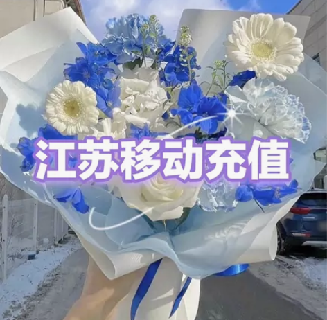 江苏电信话费1000元 话费慢充1-72小...