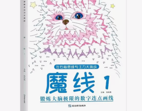 抖音网红益智书籍 魔线和迷宫（标价为单本价...