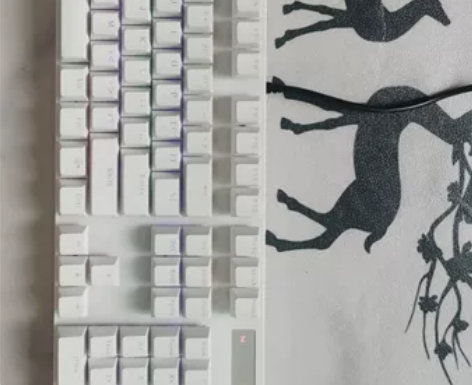 Rapoo 雷柏 V500PRO 白色键帽...