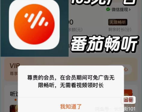 番茄畅听会员vip新版定制  无广告听书看...