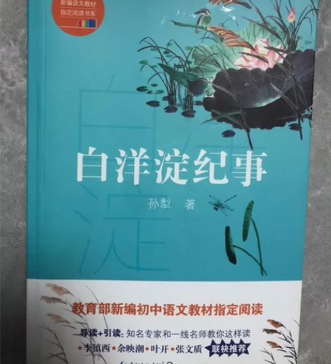 白洋淀纪事/教育部新编语文教材指定阅读书系...