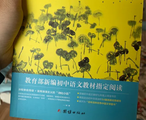 白洋淀纪事，全新只拆过包装，完好无损，教育...