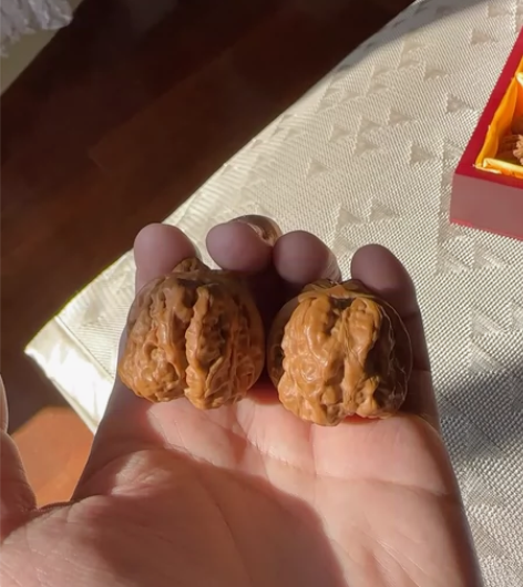 一周的蛙蛙 肉眼可见的好皮色 边36肚42...