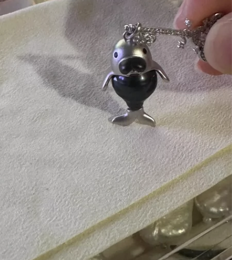 超可爱胖乎乎的大溪地钢琴黑小海豹 11.1...