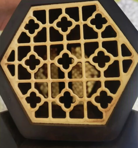 非专业人士勿扰，有专业人士以特殊皮制作构成...