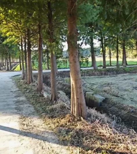 小米九号平衡车plus，带箱子，有跟随钥匙...