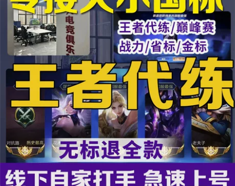 高端王者荣耀代练大小国标省标实体工作室代打...