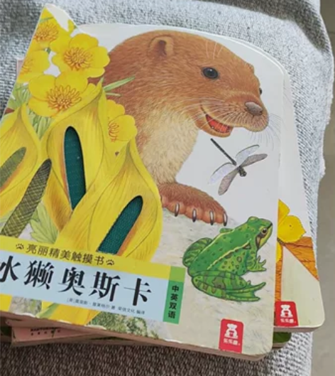 乐乐趣摸摸书4本，小熊波比的那一本孩子很喜...