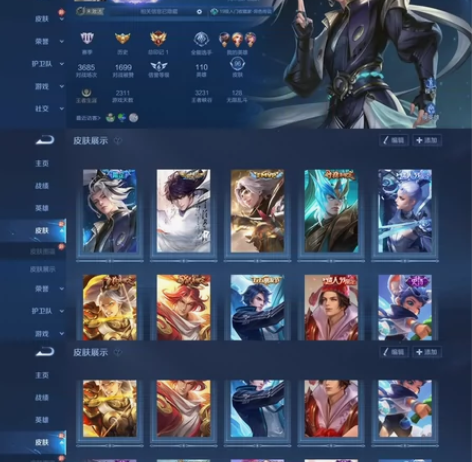 96皮、鹤羽星尊、诗剑行、云鹰飞将、星夜王...