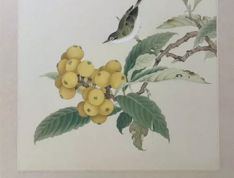 代画 工笔花鸟 写意画 山水画 人物 线描...