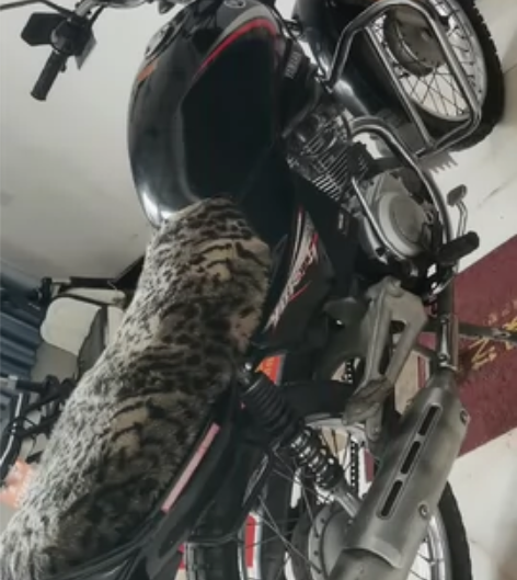 09天剑雅马哈摩托车 感兴趣的话点“我想要...