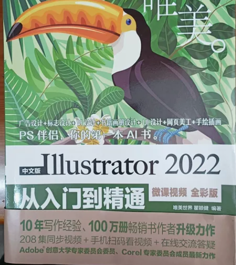 中文版Illustrator 2022从入...