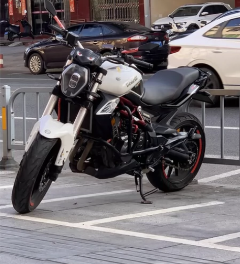 冬天不骑了，哪位勇士接手贝纳利黄龙300，...