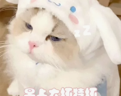 【cos免押出租】⑩套 大全套：蕾塞 刻晴...