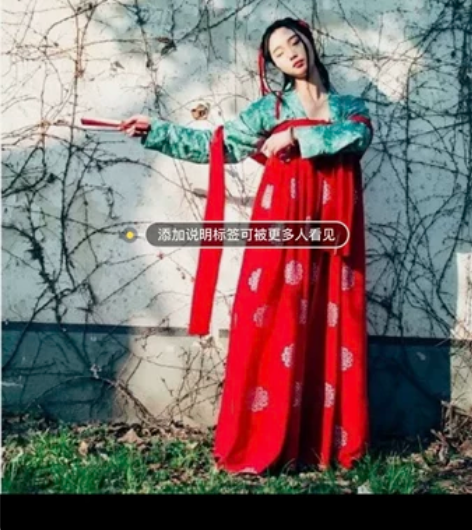 汉唐 原创汉服儒裙 汉服 唐装 团花布料 ...