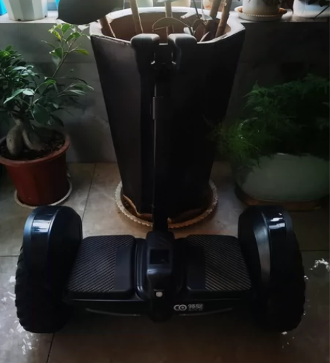 孩子偶尔使用，基本闲置！领奥平衡车大品牌安...