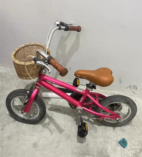 Montresor儿童自行车 买了就一直没...