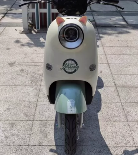 杭州同城转手新国标二手电瓶车，车子带黄牌正...