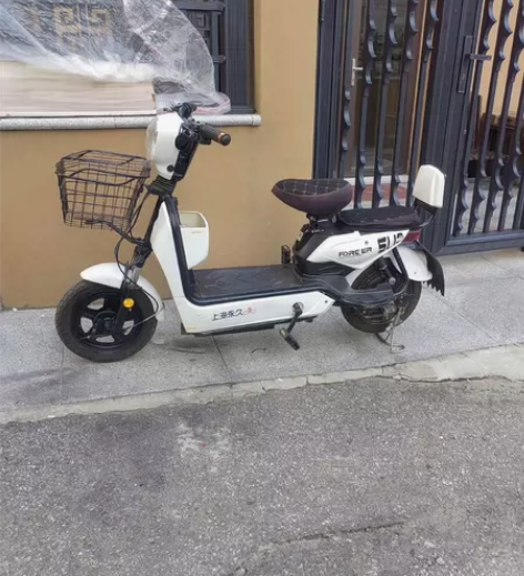 永久电动车，20大电池，车况新，国标蓝牌。...