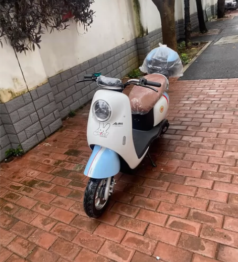 柳州市  正规电动车出租啦 小蓝牌新国标车...