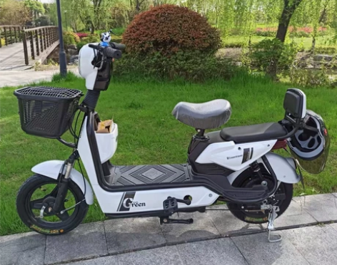 全新小型迷你电动车新国标48V新款电动车电...