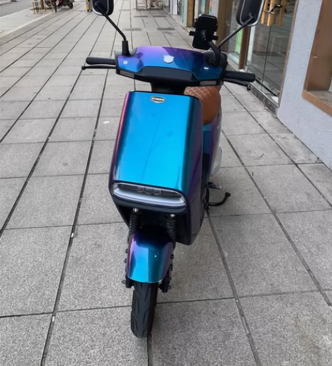 绿源新国标电动车48v30a锂电池的可以骑...