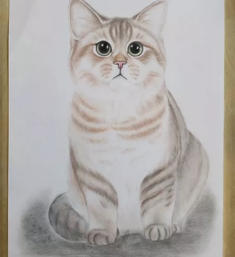手绘猫咪彩铅画，8开，3张包邮 感兴趣的话...