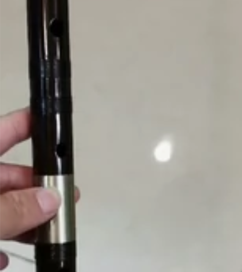 专业演奏笛子黑檀木横笛 初学入门成人考级2...