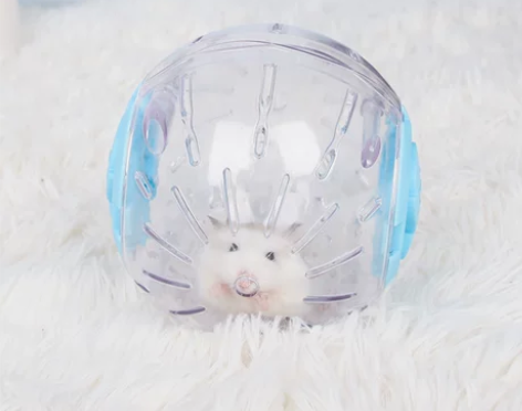 【礼遇价】宠尚天仓鼠玩具跑球跑轮滚轮运动球...