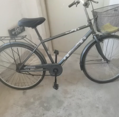 飞利浦自行车，26轮胎，功能正常骑行轻快，...