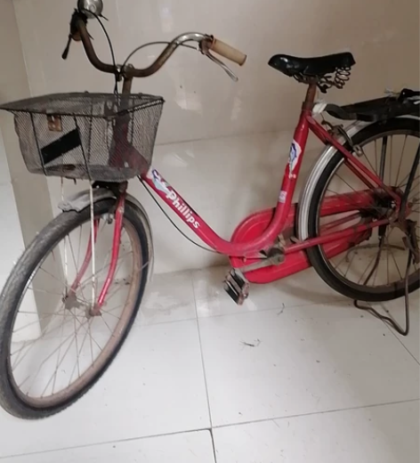 英国飞利浦二手自行车！带原装车标，50多年...