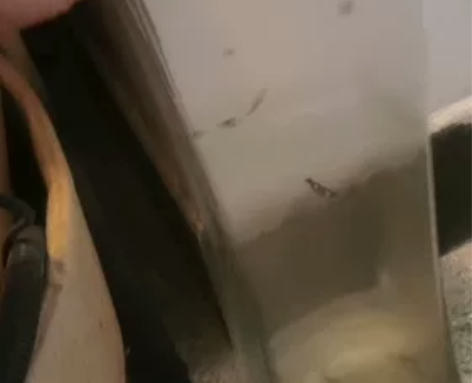 花瓶，回家自己刷刷吧 感兴趣的话点“我想要...